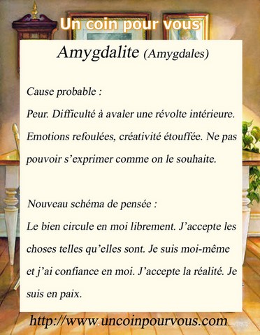 Métaphysique, Amygdalite, http://www.uncoinpourvous.com
