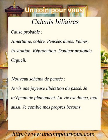 Métaphysique, Calculs biliaires, http://www.uncoinpourvous.com