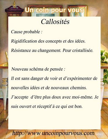 Métaphysique, Callosités, http://www.uncoinpourvous.com